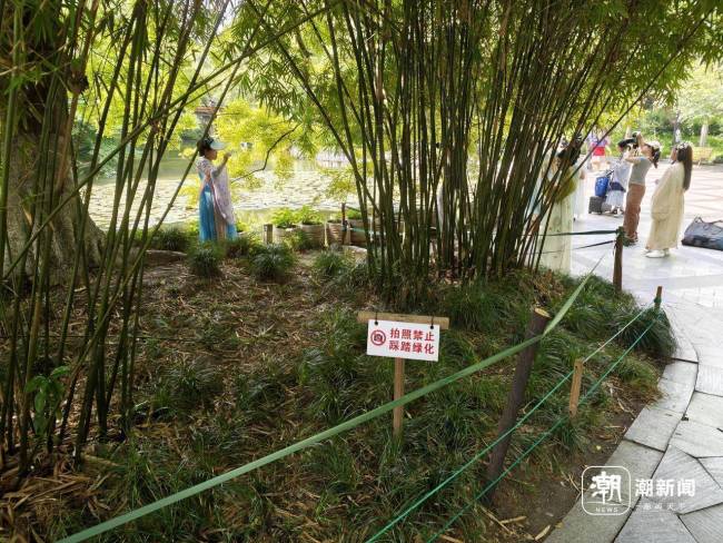 西湖网红椅遭商拍霸位 排队超半小时 游客体验受影响