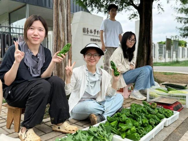 22歲大學(xué)生和同學(xué)擺攤賣菜 科學(xué)種植走紅網(wǎng)絡(luò)
