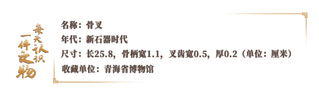 5000多年前中国人就用上了刀叉 精致餐具见证古文明