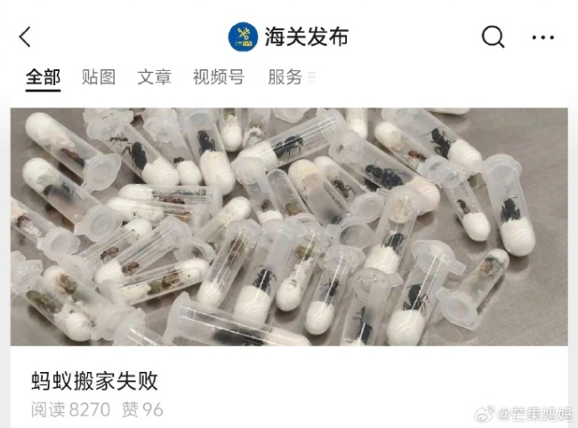 海关发布公众号的标题太有梗了