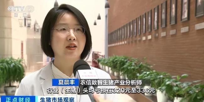 生猪价跌至10年低位 官方调减产能 持续磨底震荡