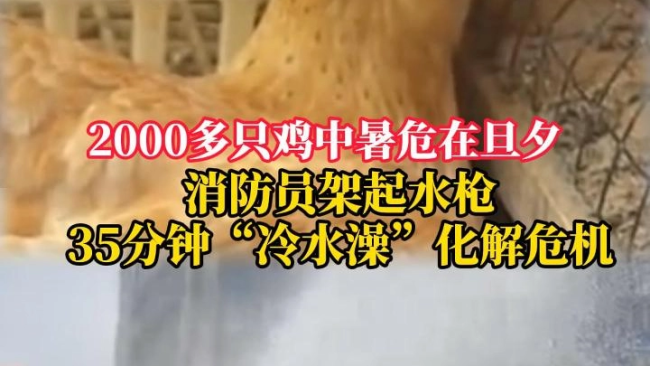 消防员用水枪给鸡洗了半小时冷水澡
