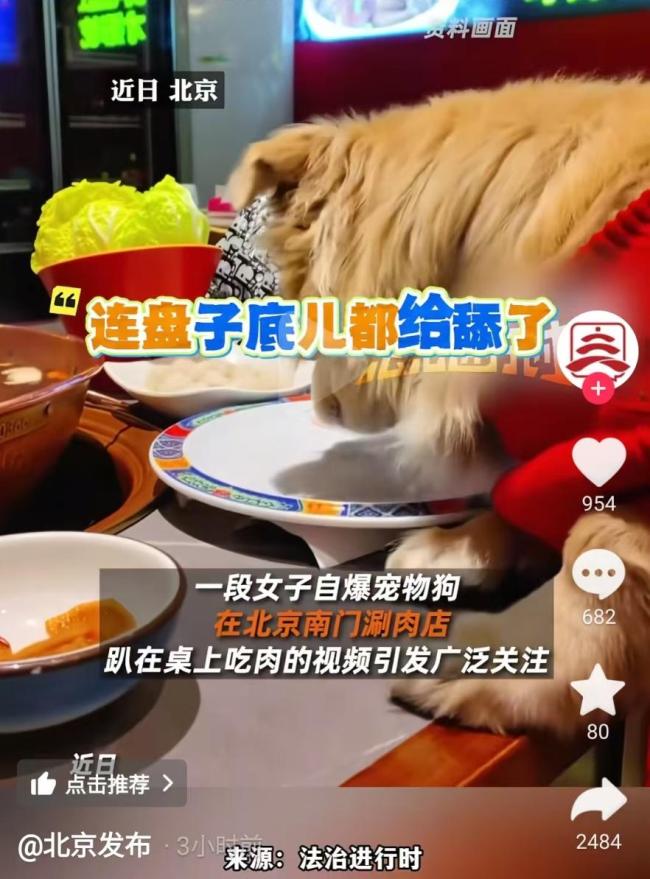 海底撈宣布停止攜寵就餐試點(diǎn) 爭(zhēng)議視頻引發(fā)關(guān)注
