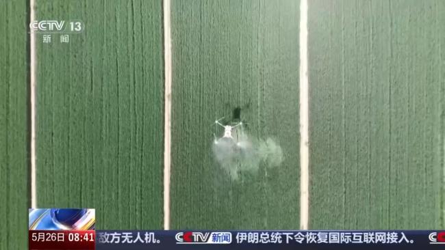 麦收时节遇降雨影响范围有多大 主产区麦收进度如何