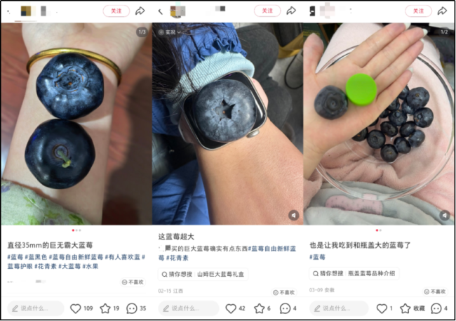 十几块一斤的榴莲自由要来了 蓝莓式降价预兆