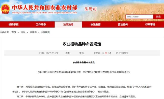 藍(lán)莓葡萄、草莓芭樂 水果興起改名風(fēng) 新奇名字背后真相