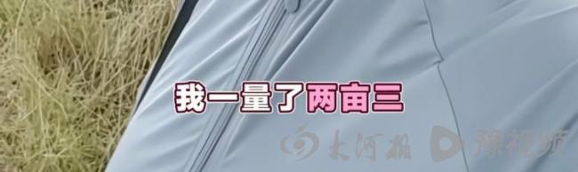 官方回应湖北收麦遇“大小亩” 历史遗留问题引关注