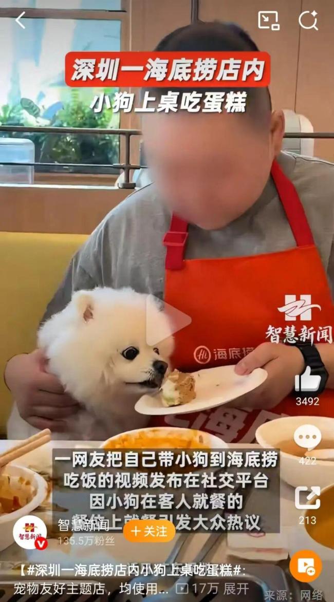 海底捞关闭全国3家宠物友好门店试点 食安争议致叫停