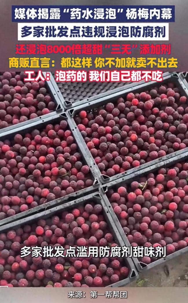 漳州当地杨梅恢复收购