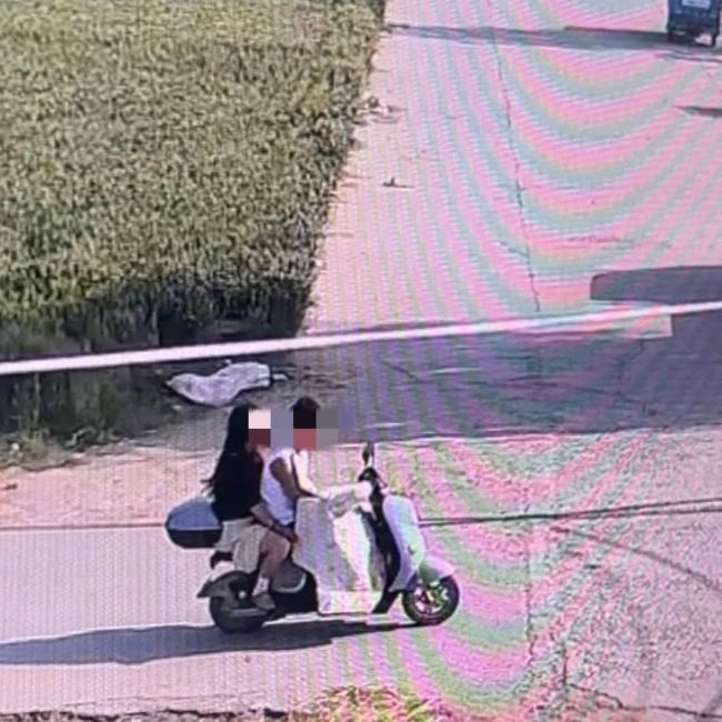网红边牧被转卖宰杀 狗主人发声 坚决追求刑责