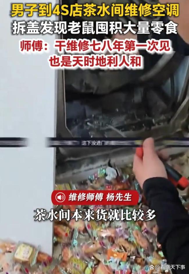 男子发现空调被老鼠囤满零食 鼠患隐患重重