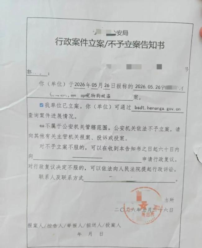 網(wǎng)紅邊牧疑被人偷走宰殺 主人發(fā)聲 堅決追責到底