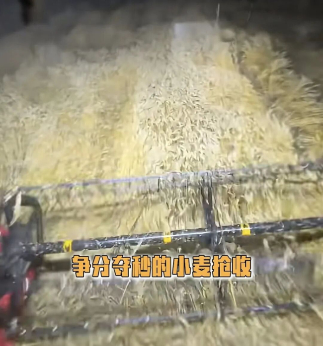 你的麦子熟了 整个中国替你收：全国农机手紧急驰援