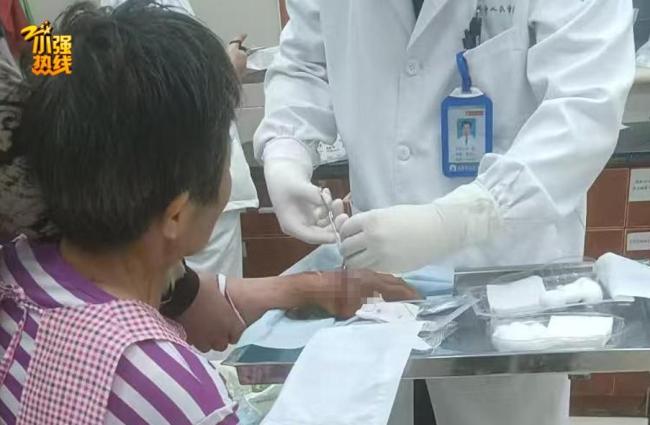 女子上班路上遭大狼狗扑咬血肉模糊 医药费赔偿引争议