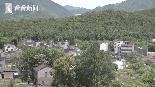浙江兩棵超500歲古樹(shù)遭違規(guī)移栽死亡 行政審批缺失引發(fā)爭(zhēng)議