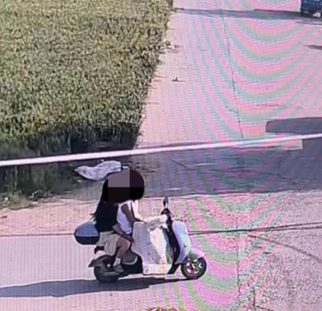 律師解讀網(wǎng)紅邊牧犬被180元賣掉宰殺 主人堅(jiān)決追責(zé)