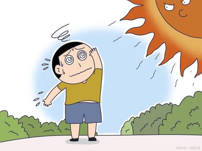 高温天养鸡场热死几千只鸡 极端天气下的养殖困境
