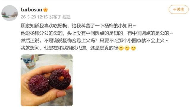 杨梅分公母吗