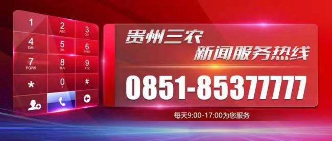 湖南桃江农机手奔赴湖北抢收小麦 争分夺秒保丰收