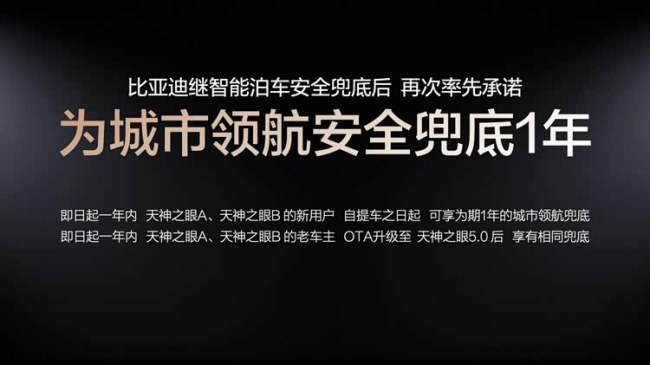 博主：比亚迪治好智驾恐惧症 技术实力铸就底气