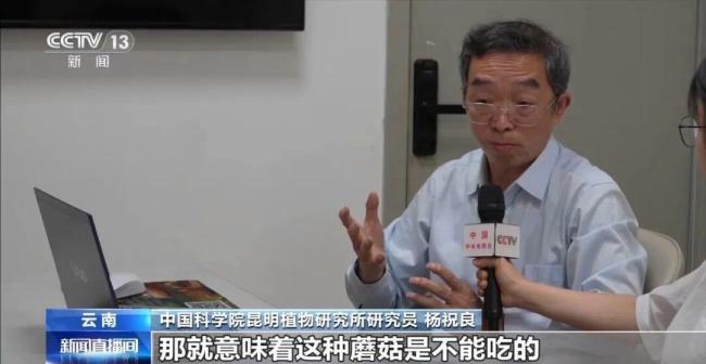女子吃見手青中毒 開車百米連撞2車 誤食毒蘑菇致幻駕車出事