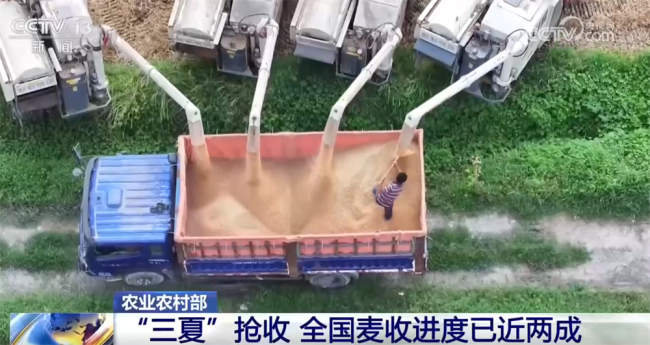 各地多措并举确保“三夏”抢收颗粒归仓