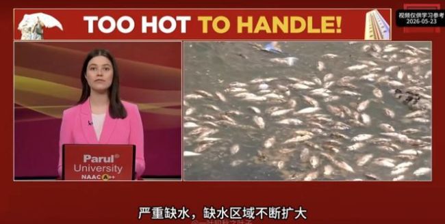 大V:印度电力被48度高温击穿 制造业美梦破碎