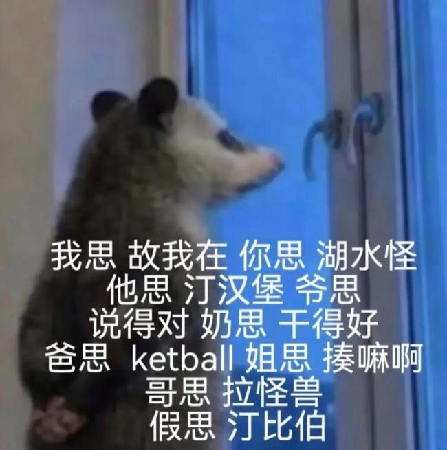 2026年最火表情包出現(xiàn)了 負鼠入侵打工人群聊