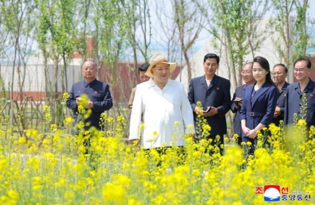 金正恩携女儿视察温室农场 关注蔬菜多样化与科学管理