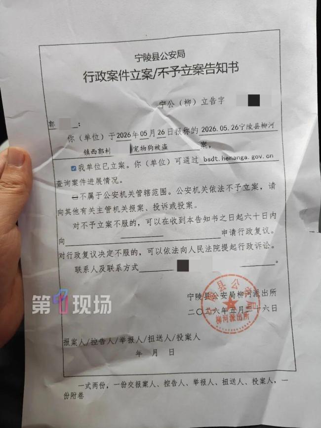 邊牧被偷后宰殺主人痛哭拒絕和解 8年伙伴遭無情對待