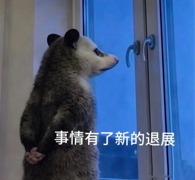 负鼠表情包为啥爆火 成为情绪容器