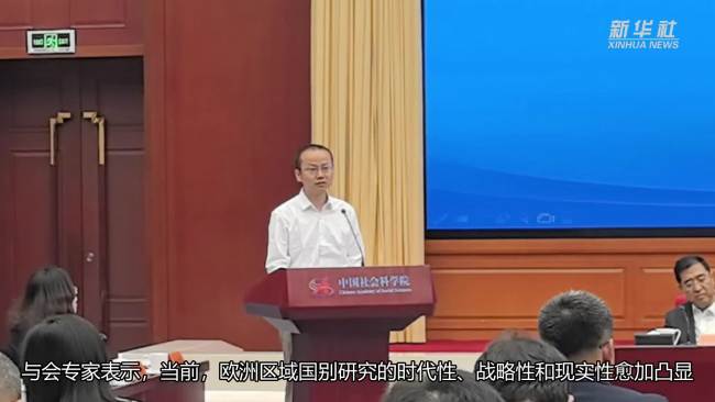 专家热议欧洲区域国别研究 构建自主知识体系