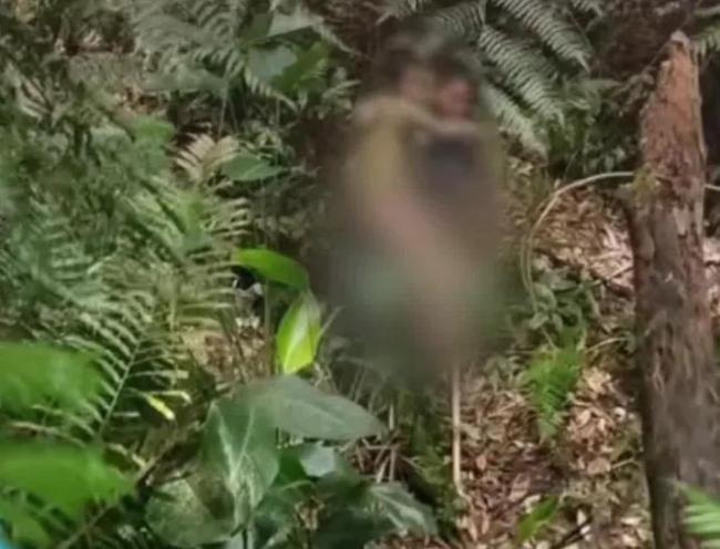 一男童深山走失13天获救