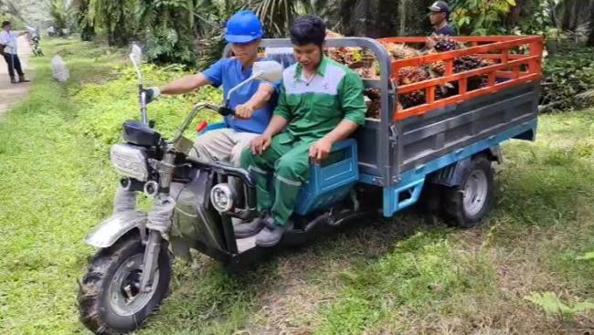 中國兩輪三輪電動車為何火遍歐美 品質(zhì)逆襲成頂流
