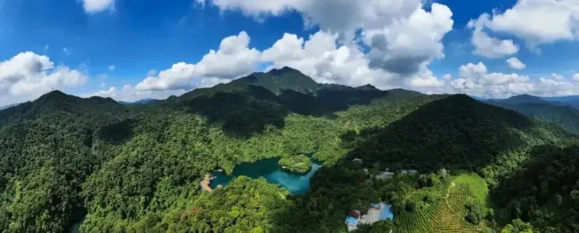 鼎湖山發(fā)現(xiàn)新物種 填補中國馬陸動物地理分布空白