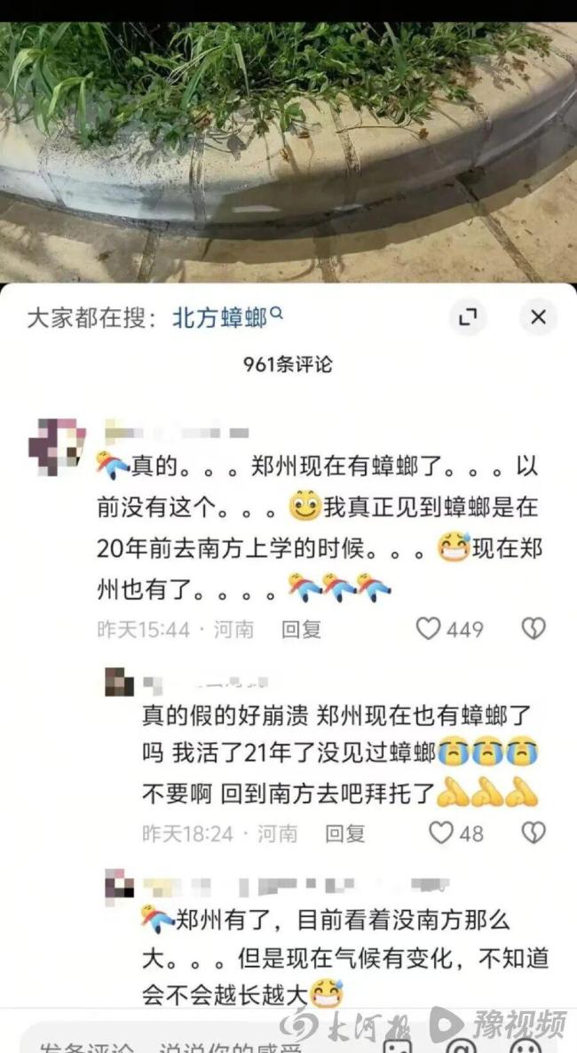 男子熟睡遭母蟑螂爬进耳道产卵 罕见事件引关注