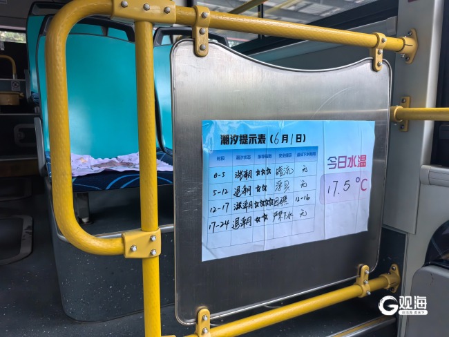 青島人洗海澡都有專線車 11年不變的清晨約定