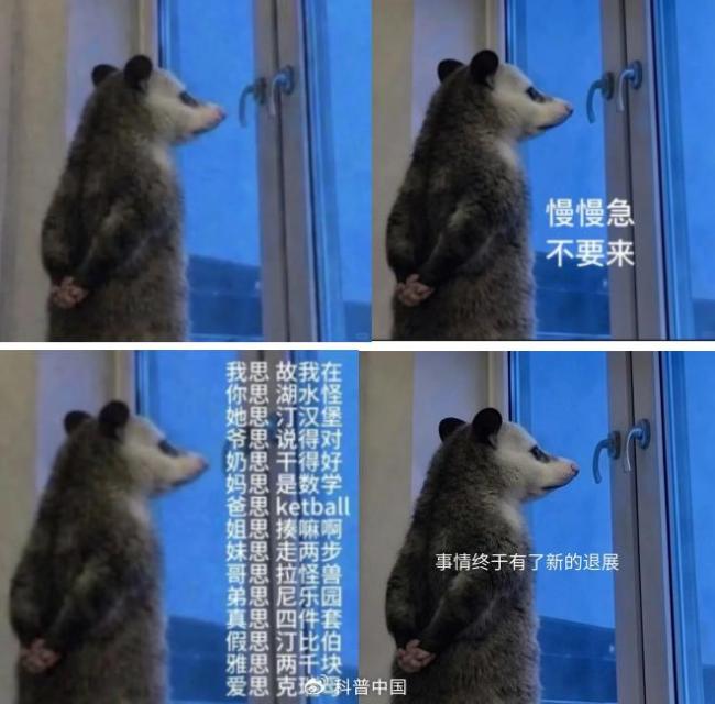 “背手负鼠”火了！什么来头