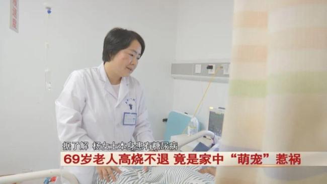 69歲老人高燒不退，竟是家中“萌寵”惹禍！