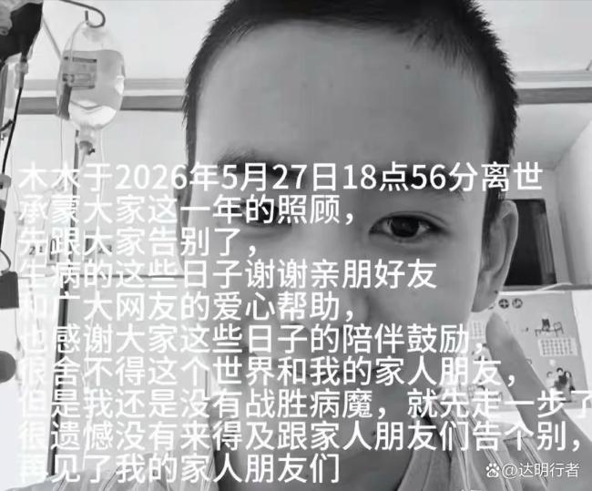 29歲女孩確診白血病不滿1年離世 抗癌斗士的堅韌與溫柔