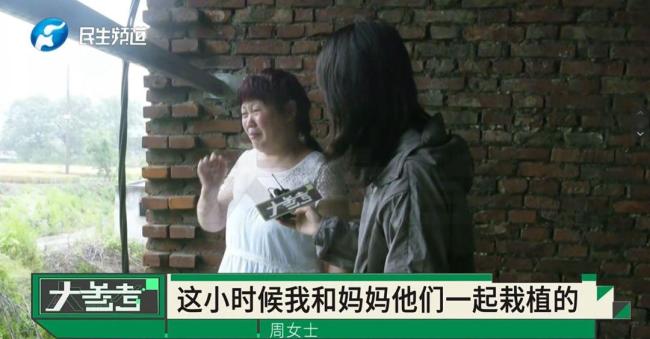 老宅被親戚偷裝光伏板 女子崩潰痛哭 童年回憶遭破壞
