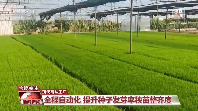全國小麥收獲進度已過三成半 各地智慧農(nóng)機顯身手