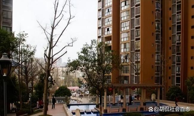 物業(yè)罵業(yè)主住不起就滾 保交樓小區(qū)治理困境