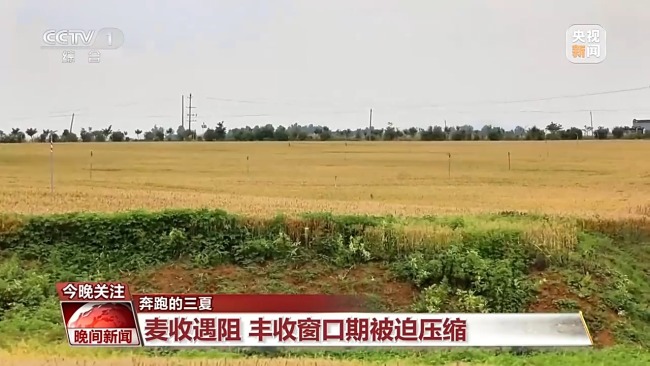 河南給田地裝上“數(shù)字大腦” 科技助力麥?zhǔn)崭咝七M