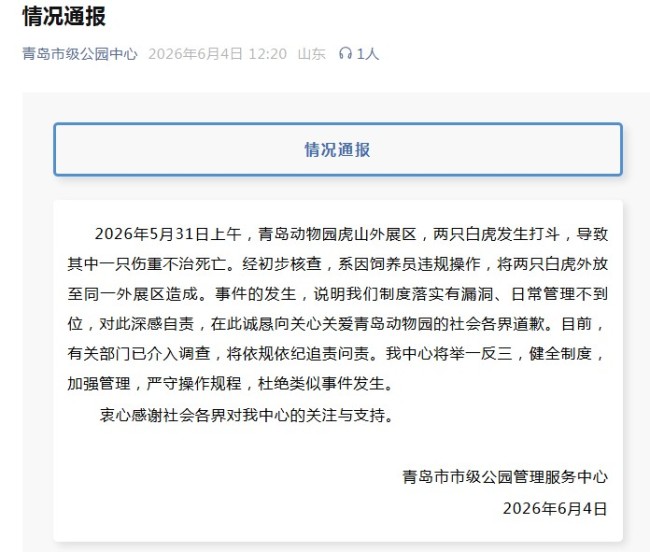 網(wǎng)紅白虎“小孬”意外離世 園方通報(bào)