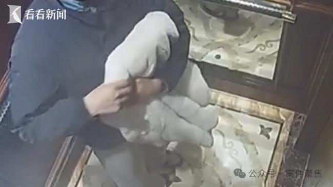 豪宅內40萬名牌包被盜 竊賊是司機 安保森嚴下的蹊蹺失竊