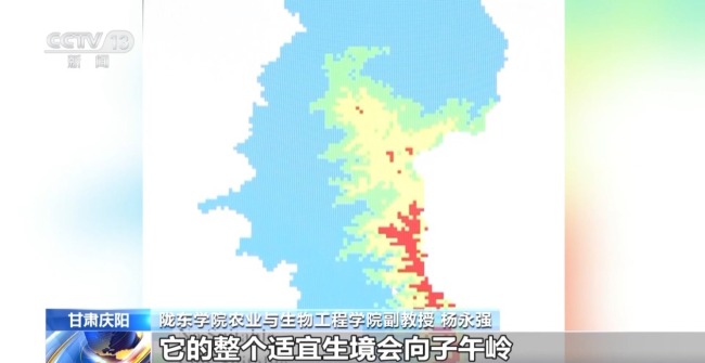 AI大模型識(shí)別 智能設(shè)備助力華北豹守護(hù)