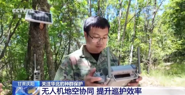 AI大模型識(shí)別 智能設(shè)備助力華北豹守護(hù)