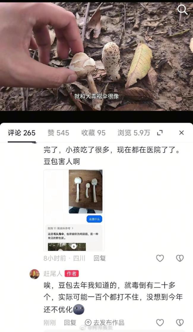 不要相信豆包識別的野生蘑菇，已經(jīng)很多人中毒！
