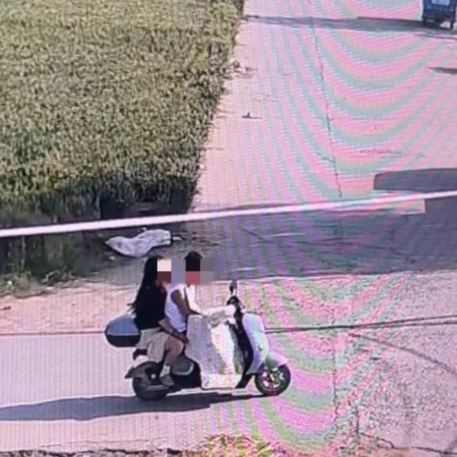 警方对网红边牧被盗宰杀一事刑事立案 宠物狗悲剧引发全网热议
